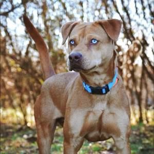 Meet your Posher, Matt